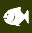 CDN ICONO PESCADO