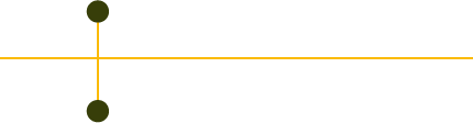 CDN TIMELINE MOBILE INTERIOR